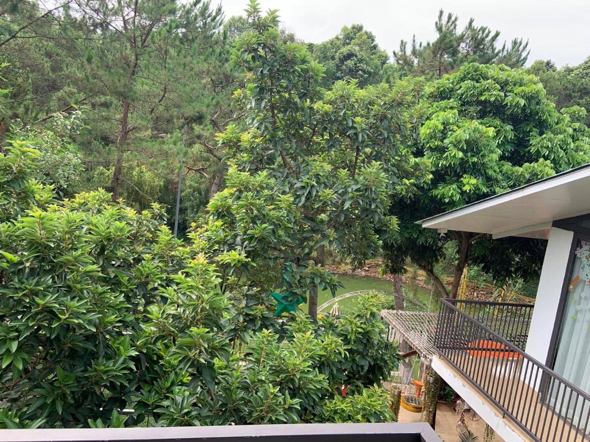 Lake View Homestay Pleiku Ngoại thất bức ảnh